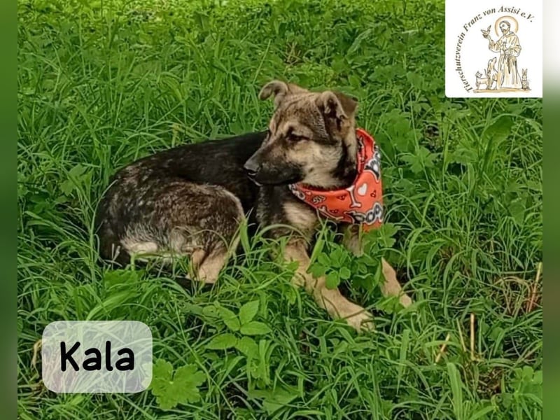 Kala – Das Leben klopft an. Wer macht die Tür auf!