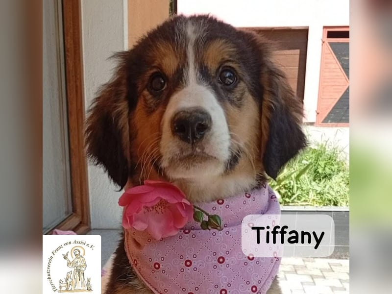 Tiffany – Man ist nie zu klein, um für jemanden die ganze Welt zu sein!
