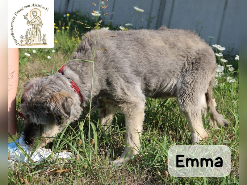 Emma – manche Herzen werden einfach nie alt!