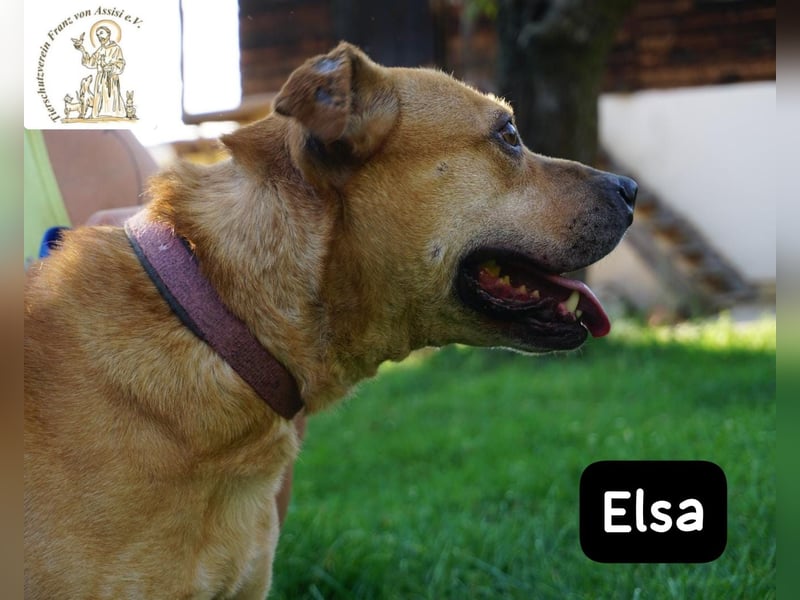 Elsa – Kuscheln, Freiheit und Abenteuer: Elsas Rezept fürs Glück!