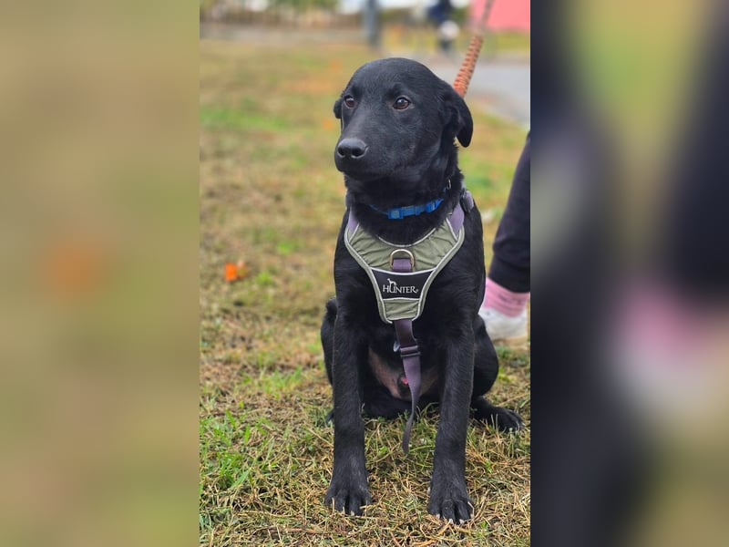 Odin ❤️ kleiner Held