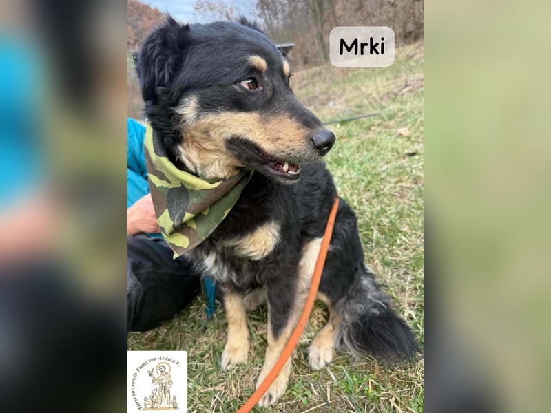Mrki – ein sanfter Schatz mit großem Herzen!