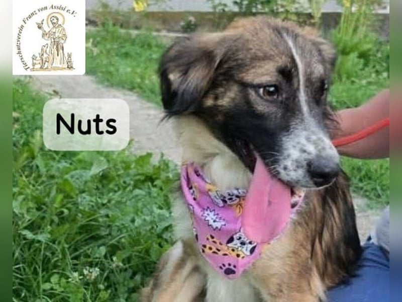 Nuts – manche Seelen tragen ihren Zauber ganz leise!