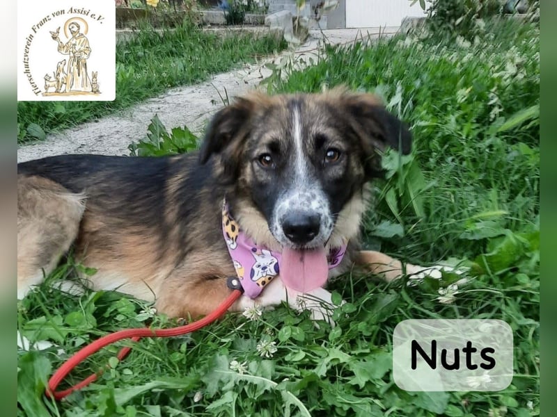 Nuts – manche Seelen tragen ihren Zauber ganz leise!
