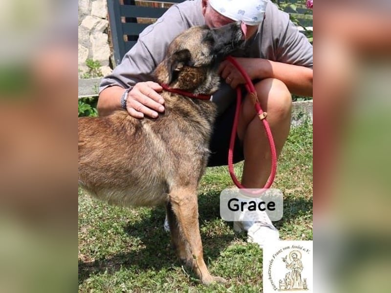 Grace – Köpfchen, Power und definitiv Pfeffer im Hintern!