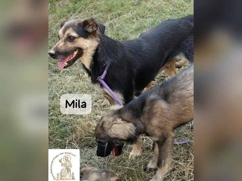 Mila – Heldinnen können auch manchmal ganz klein sein!