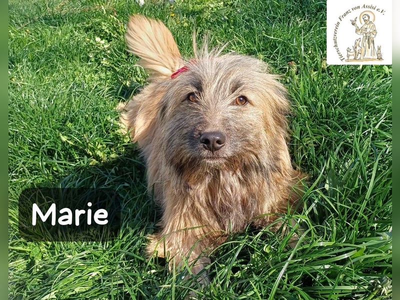 Marie – zu süß für diese Welt, aber kein bisschen aus Zucker!