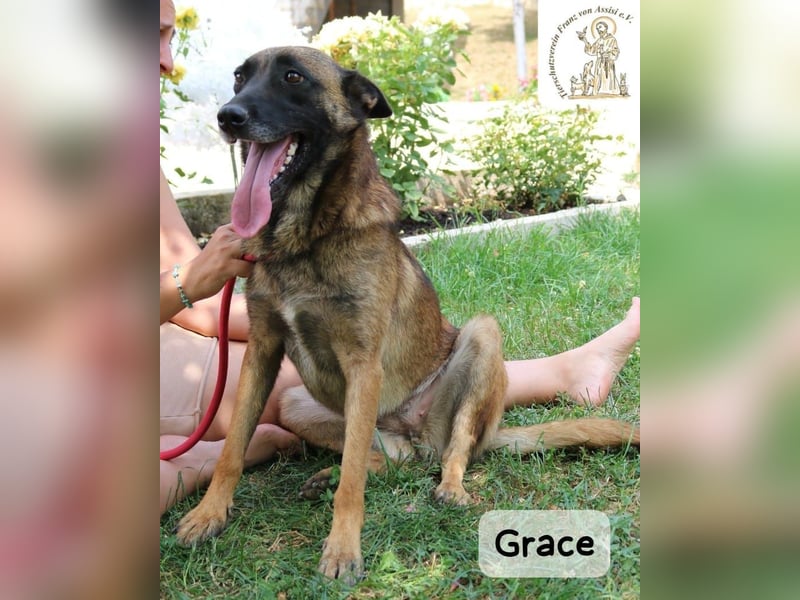 Grace – Köpfchen, Power und definitiv Pfeffer im Hintern!