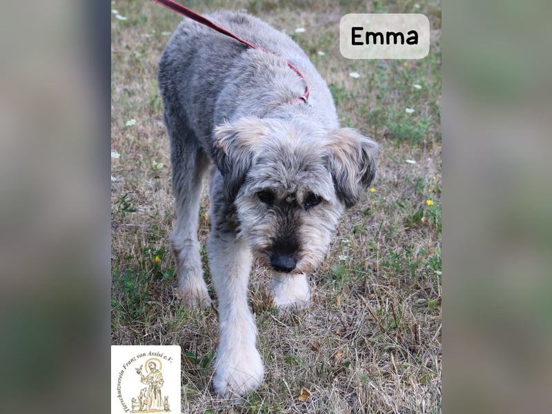 Emma – manche Herzen werden einfach nie alt!