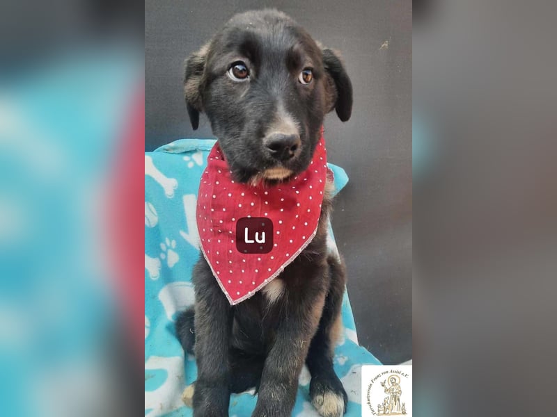 Lu – kleine Entdeckerin mit dem Kopf voller Ideen!