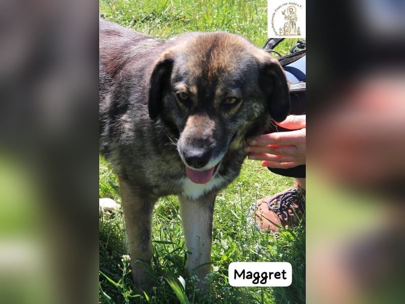 Maggret – ruhig, feinfühlig, zauberhaft und ein bisschen Magie auf vier Pfoten!