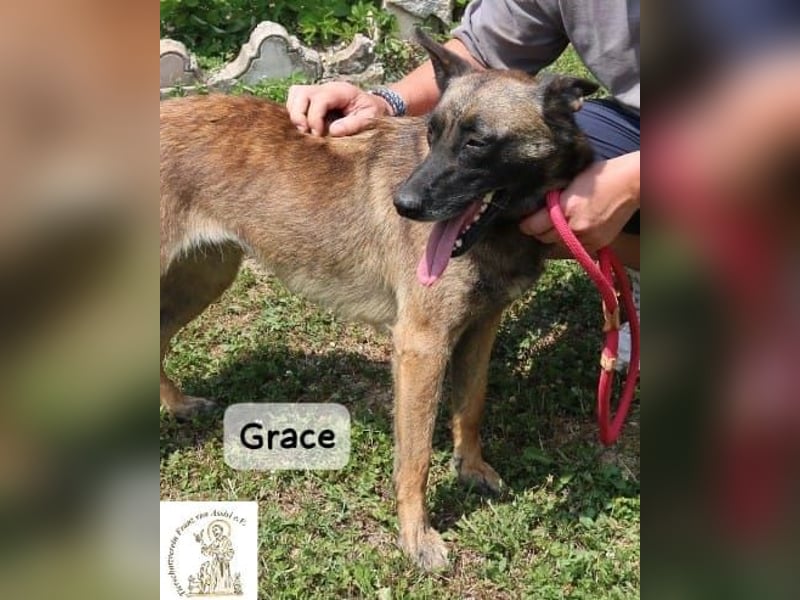 Grace – Köpfchen, Power und definitiv Pfeffer im Hintern!