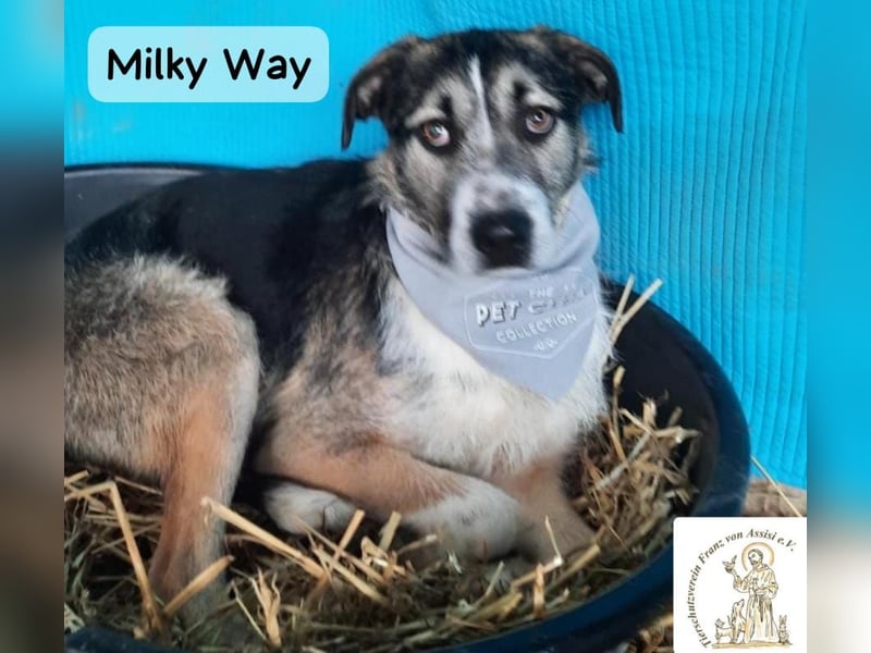 Milky Way – nicht laut, aber genau richtig!