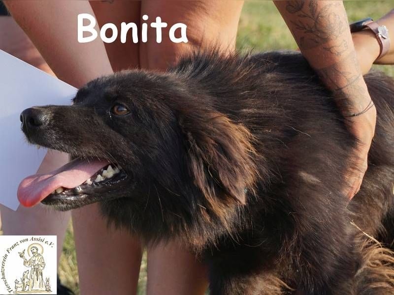 Bonita – Junges Mädchen mit Flair und Stil!