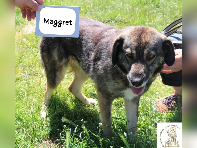 Maggret – ruhig, feinfühlig, zauberhaft und ein bisschen Magie auf vier Pfoten!