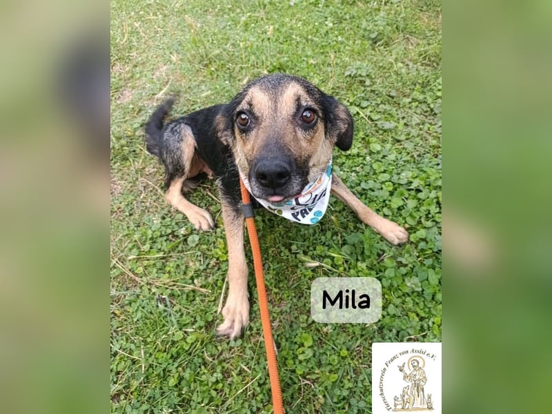 Mila – Heldinnen können auch manchmal ganz klein sein!