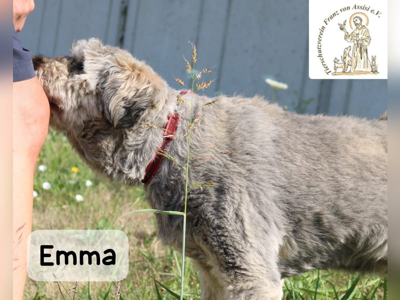 Emma – manche Herzen werden einfach nie alt!