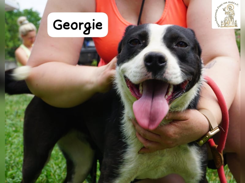 Georgie – Chaos im Herzen? Nein – nur pure Lebensfreude!