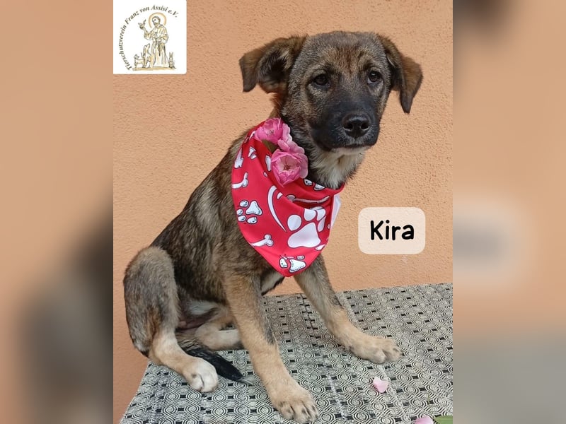 Kira – Warum nicht heute glücklich werden!