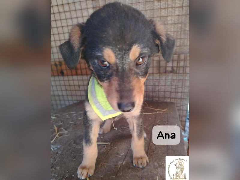 Ana – kleines Mädchen, große Pläne!