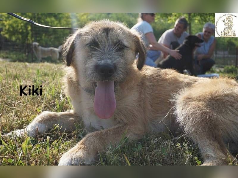 Kiki – Kuschelfee im Anflug!