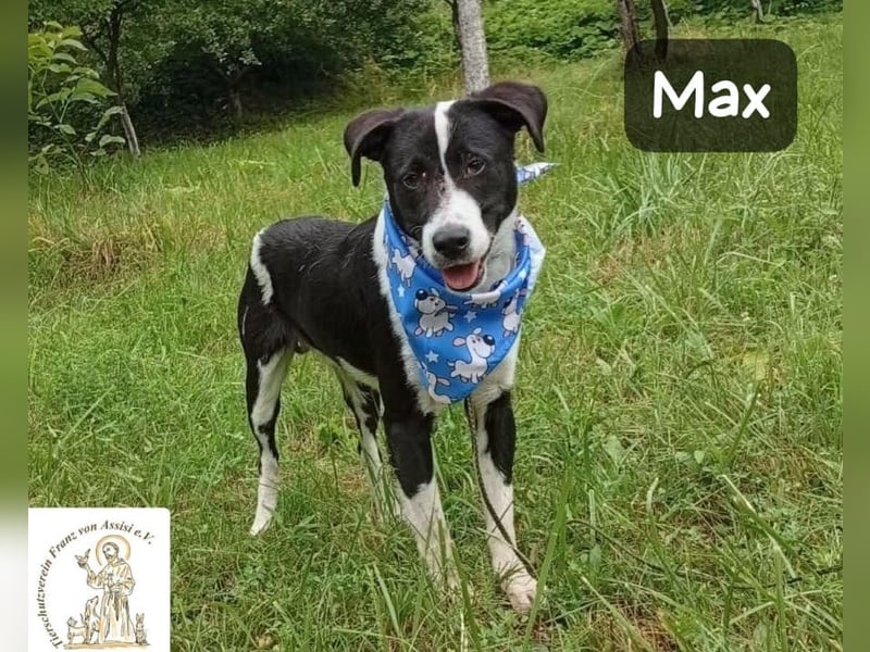 Max – seine zweite Chance auf ein wundervolles Leben!