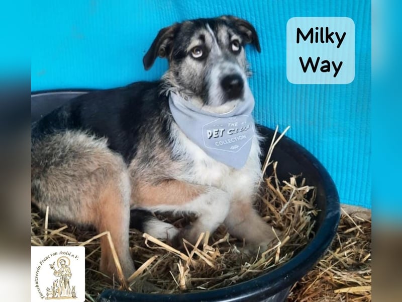 Milky Way – nicht laut, aber genau richtig!