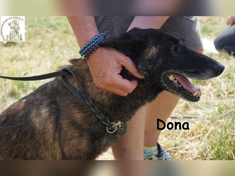 Dona – sucht ruhigen Hafen zum Seele baumeln lassen