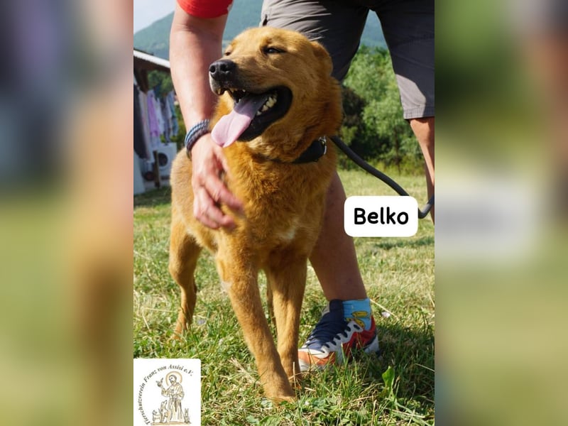 Belko – der Kumpel, auf den man gewartet hat!