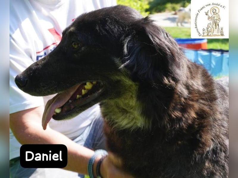 Daniel – Elegant, charmant und tierisch motiviert!