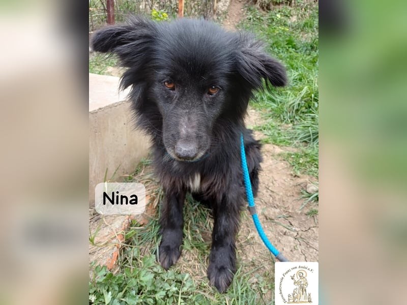Nina – ein Platz zum Durchatmen gesucht!