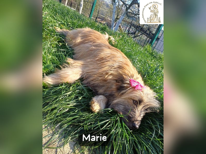 Marie – zu süß für diese Welt, aber kein bisschen aus Zucker!