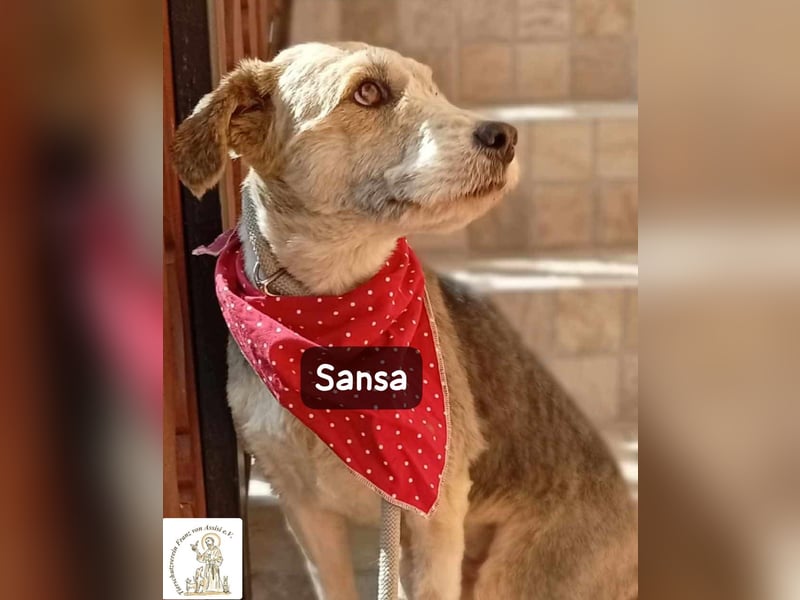 Sansa – der Neuanfang steht ihr einfach gut!