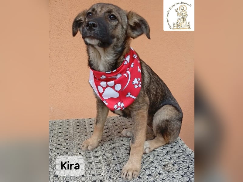 Kira – Warum nicht heute glücklich werden!