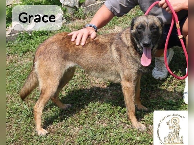 Grace – Köpfchen, Power und definitiv Pfeffer im Hintern!