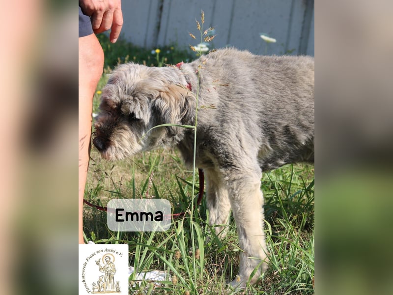 Emma – manche Herzen werden einfach nie alt!