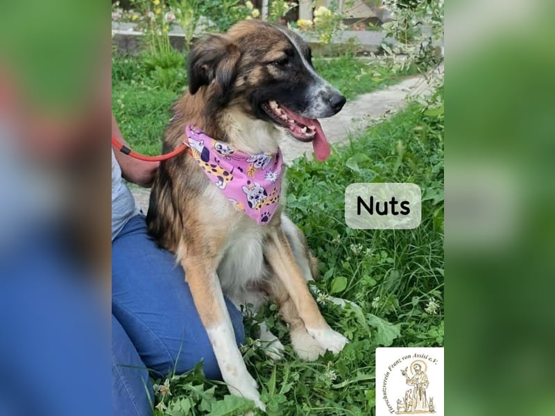 Nuts – manche Seelen tragen ihren Zauber ganz leise!