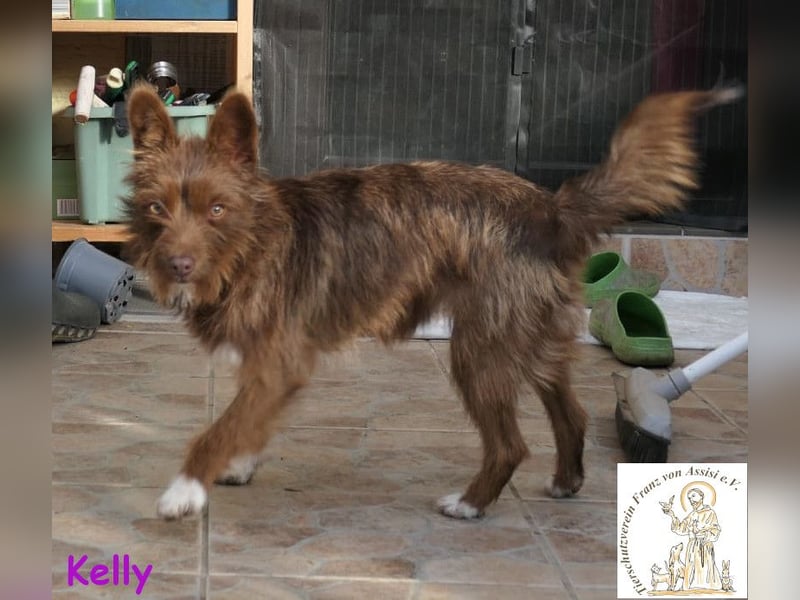 Kelly –  die Frohnatur