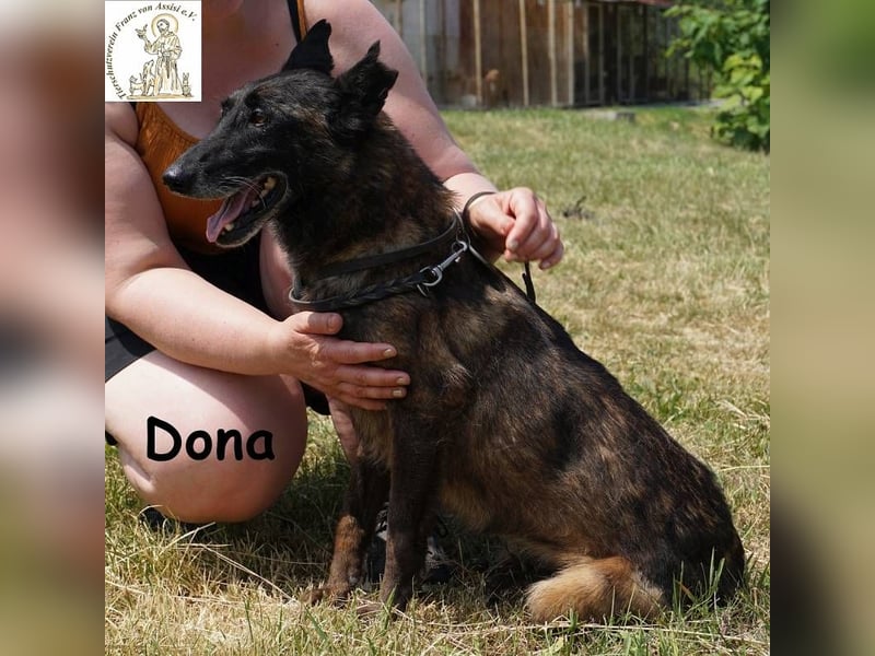 Dona – sucht ruhigen Hafen zum Seele baumeln lassen