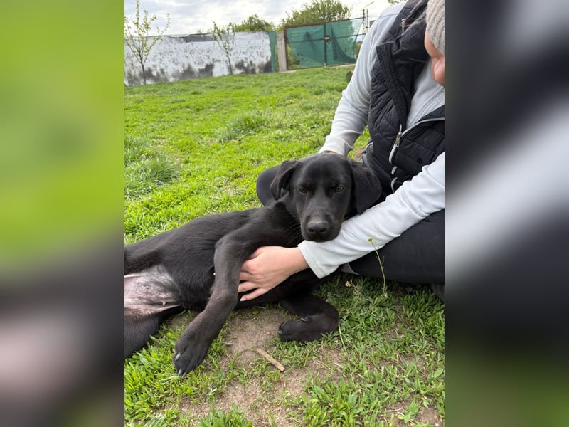 Aktive Boots sucht ihre Familie