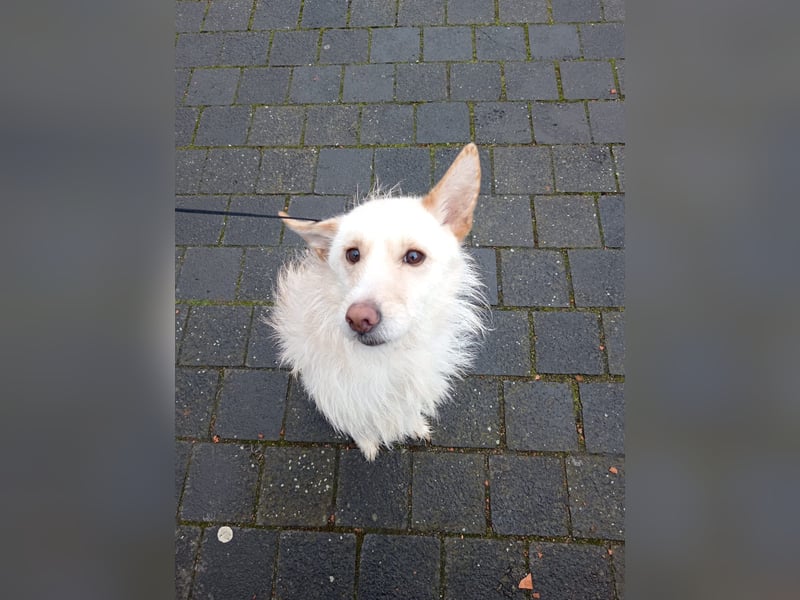 Liebevolle Cassy sucht ihre Familie