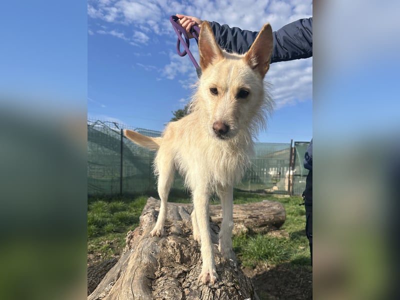 Liebevolle Cassy sucht ihre Familie