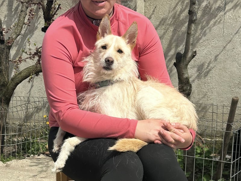 Liebevolle Cassy sucht ihre Familie