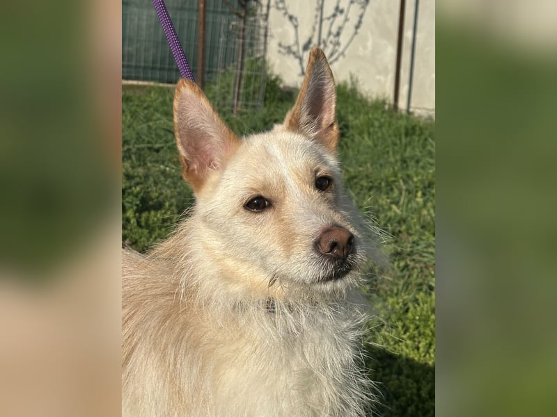 Liebevolle Cassy sucht ihre Familie