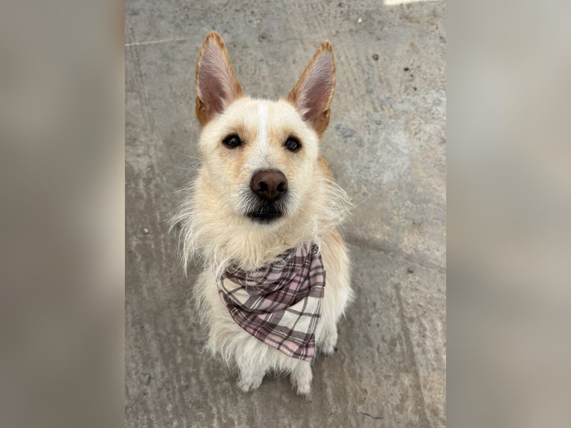 Liebevolle Cassy sucht ihre Familie