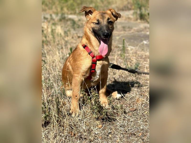 Süße Candy sucht ein neues Zuhause