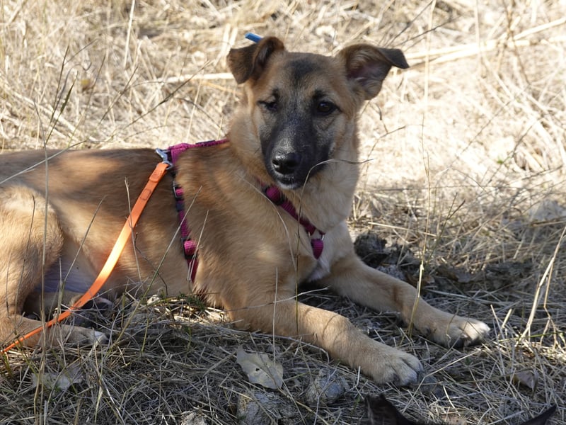 Süße Candy sucht ein neues Zuhause