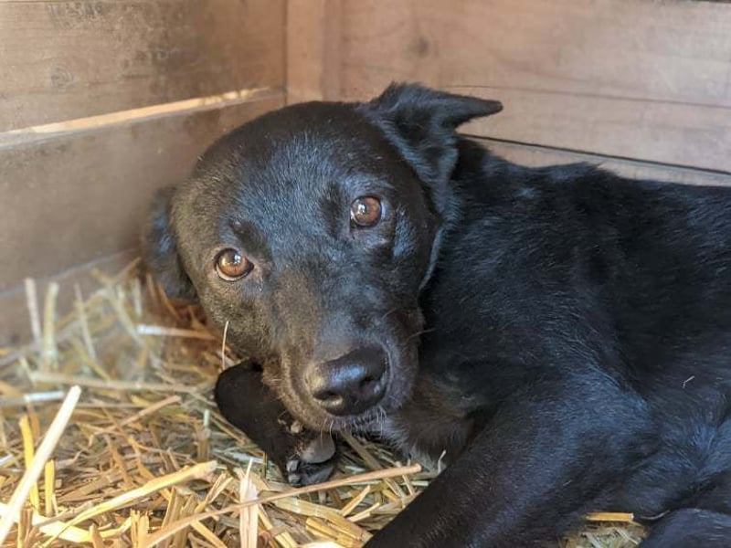 Taka wartet auf ihr Glück