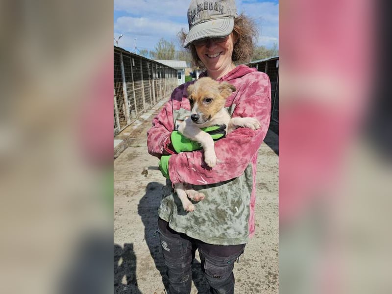 Karl möchte dem Shelter entkommen