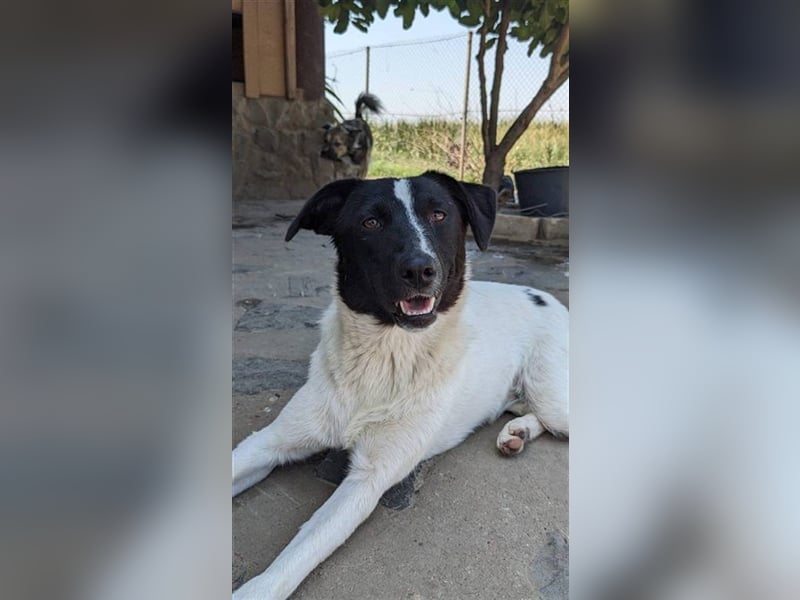 Yvi möchte endlich ihr zu Hause